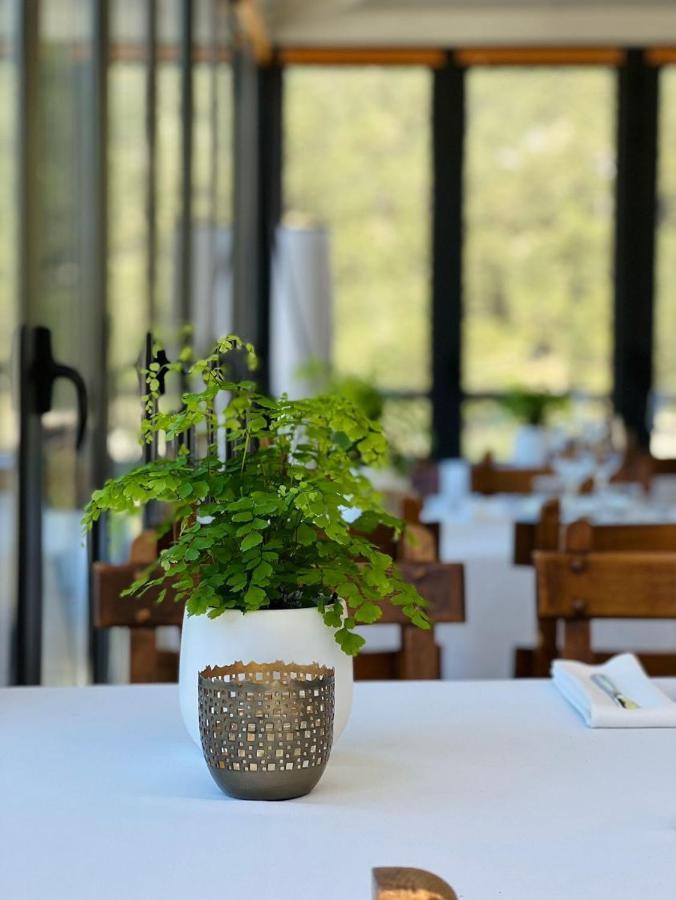 Corzo Hotel سيرسيديلا المظهر الخارجي الصورة